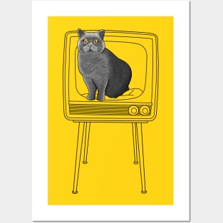 Cat on a retro tv Posters and Art